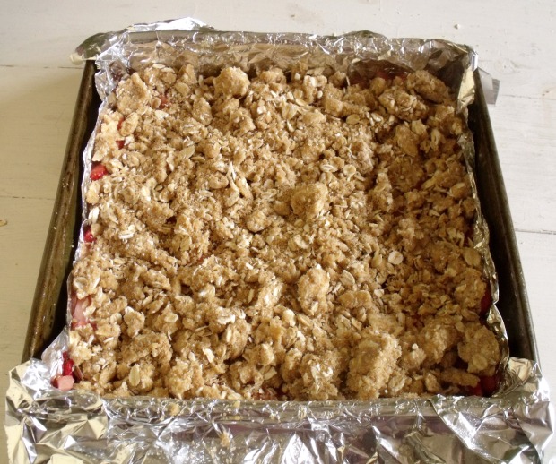 Crumble Topped Squares